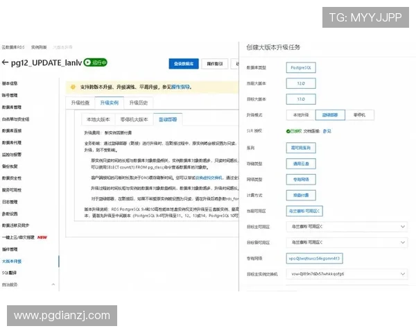 PG官网官方网站入口全面升级，用户如何快速找到最新入口地址
