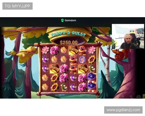 PG电子中国官网游戏玩法攻略与技巧分享提升你的游戏胜率与娱乐体验