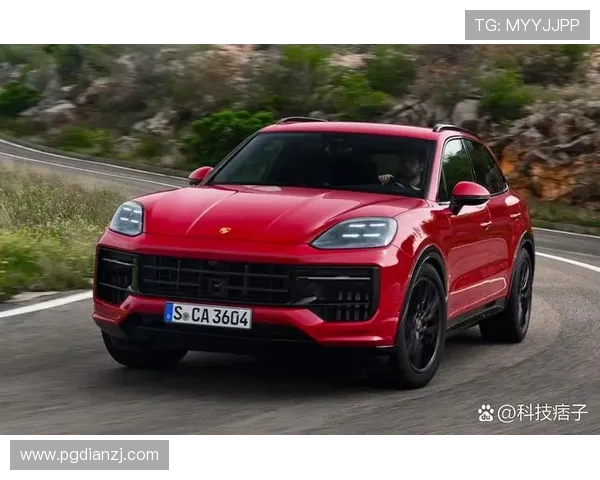 保时捷PG娱乐官方网站安全可靠的在线平台，保障用户购车体验与售后服务全方位升级