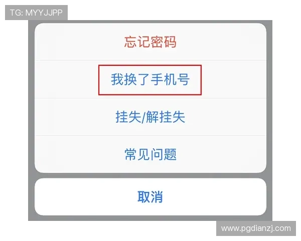PG官方网入口官方客服支持，解决玩家在登录过程中遇到的各种问题与疑问